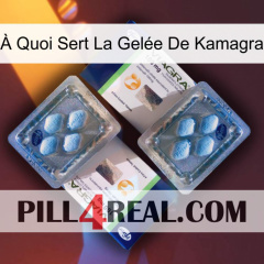 À Quoi Sert La Gelée De Kamagra viagra5